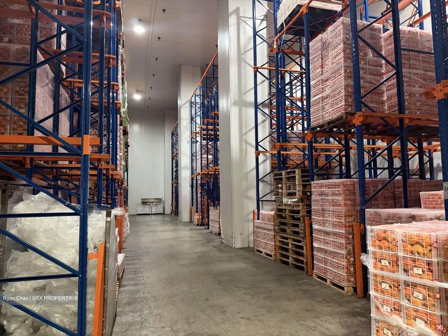Pandan Loop (D5), Warehouse #555589471